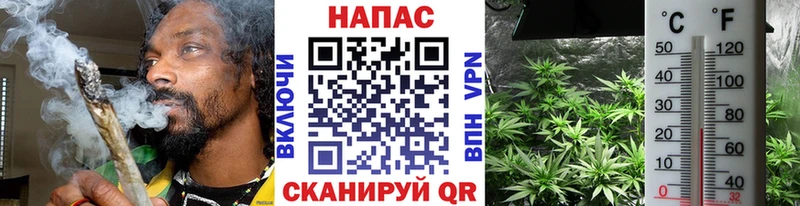 Наркошоп Багратионовск COCAIN  блэк спрут как зайти  Каннабис  A-PVP 