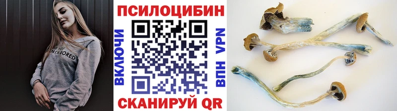 Галлюциногенные грибы MAGIC MUSHROOMS  Багратионовск 
